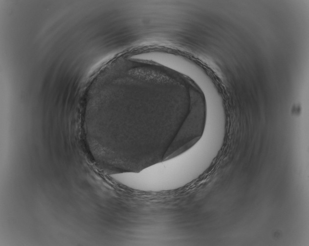 X0000091880872200709261349