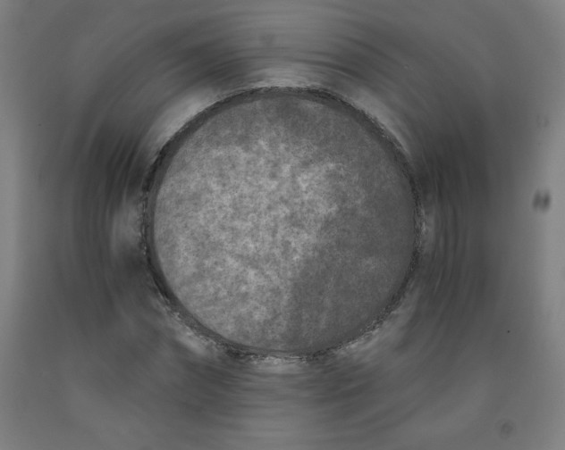 X0000091880874200709261349