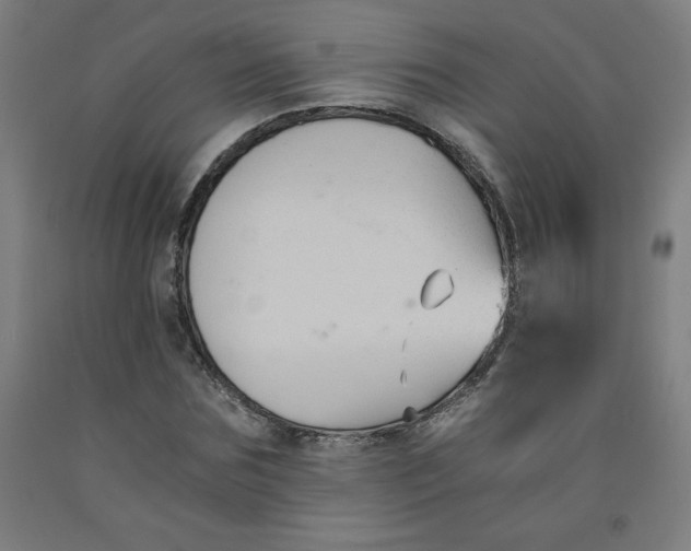 X0000091880875200709261349