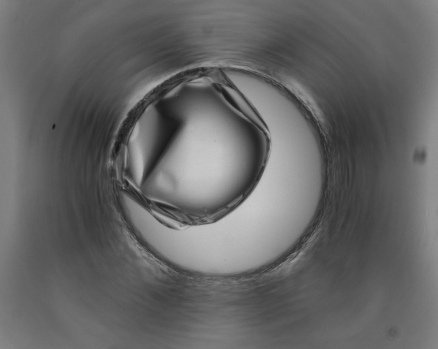 X0000091880876200709261349