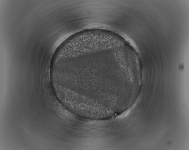 X0000091880877200709261349