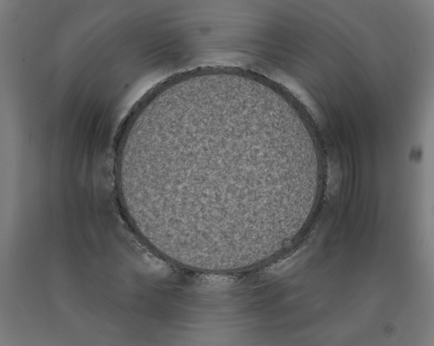 X0000091880878200709261349