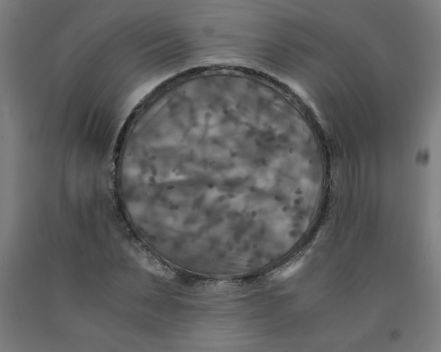 X0000091880879200709261349