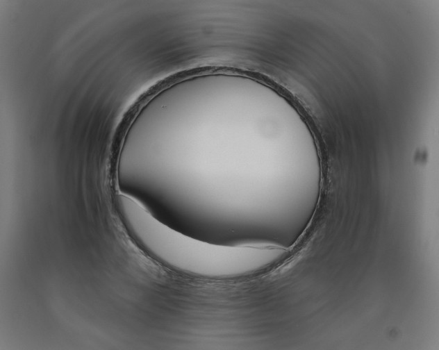 X0000091880880200709261349