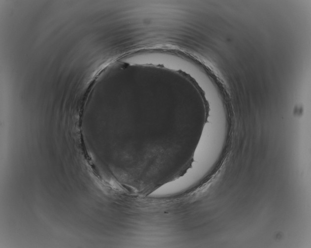 X0000091880881200709261349