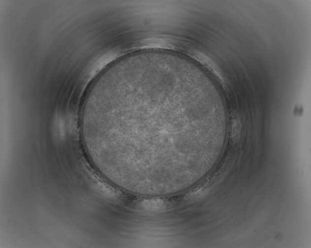 X0000091880882200709261349