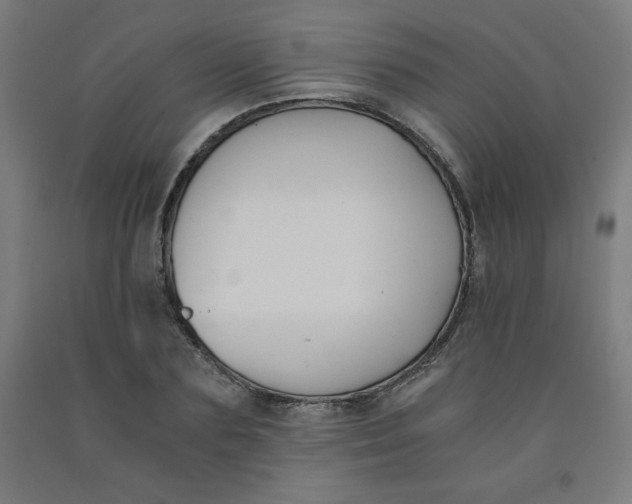 X0000091880883200709261349