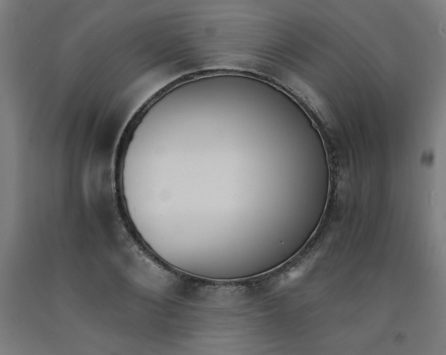 X0000091880884200709261349