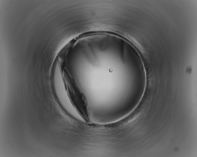 X0000091880885200709261349