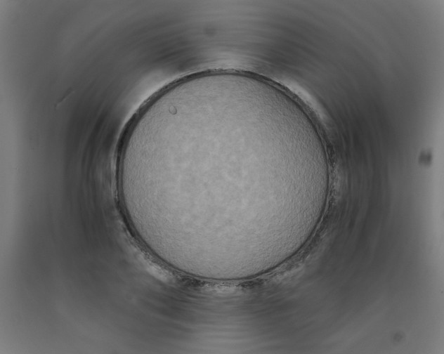 X0000091880886200709261349