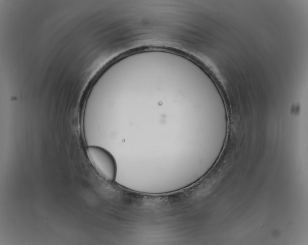 X0000091880887200709261349