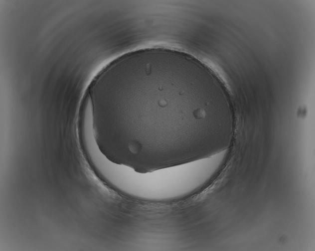 X0000091880888200709261349