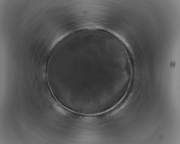 X0000091880889200709261349