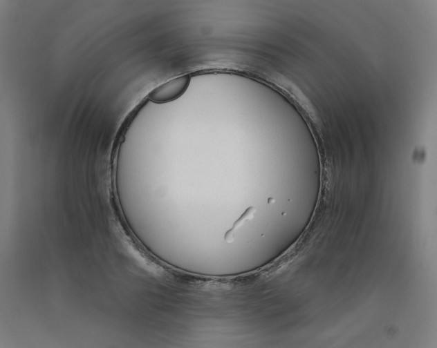 X0000091880890200709261349