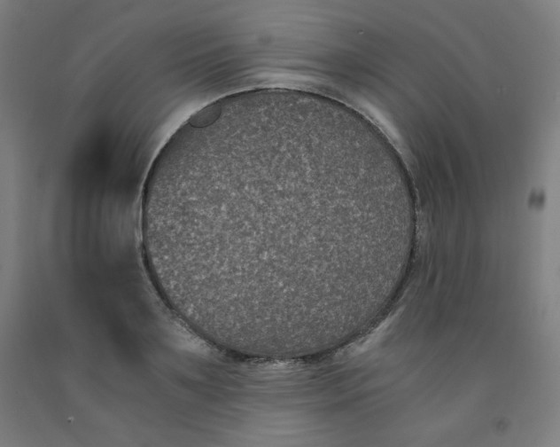 X0000091880891200709261349