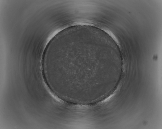 X0000091880893200709261349