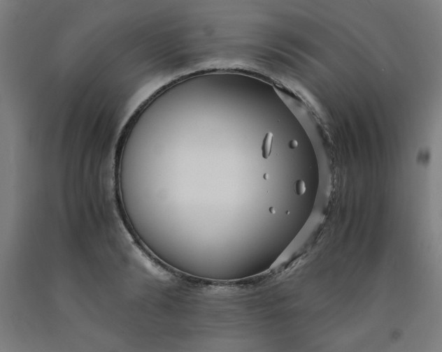 X0000091880894200709261348