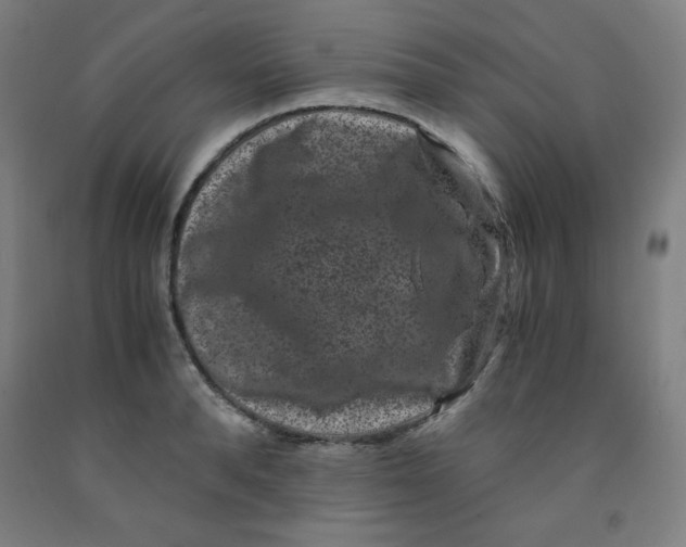 X0000091880896200709261348