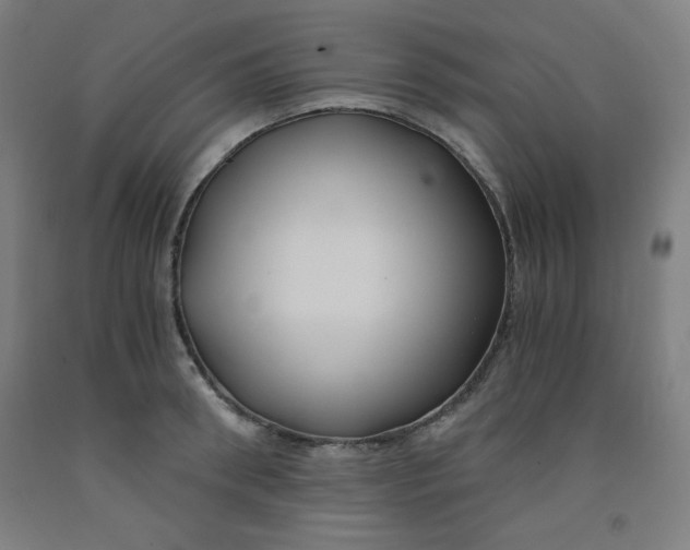 X0000091880898200709261348