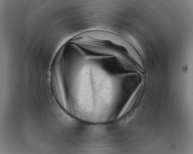 X0000091880900200709261348