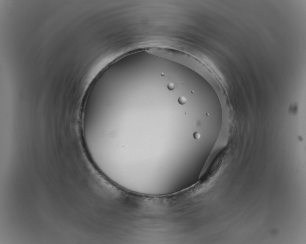 X0000091880901200709261348