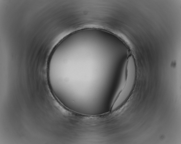 X0000091880902200709261348