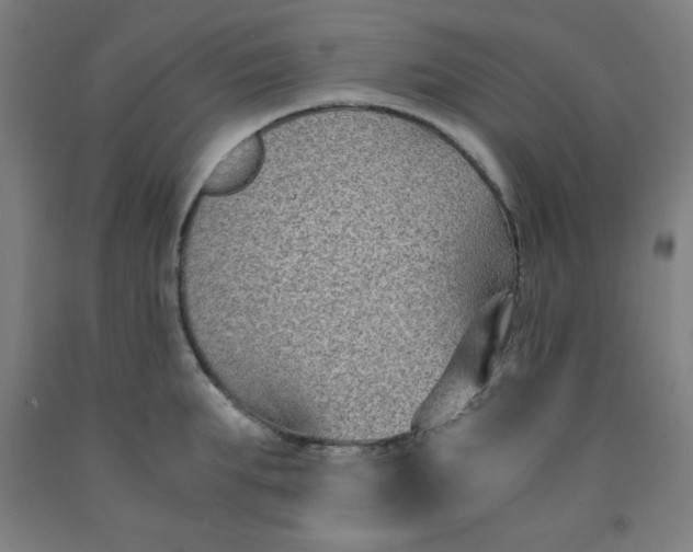 X0000091880903200709261348