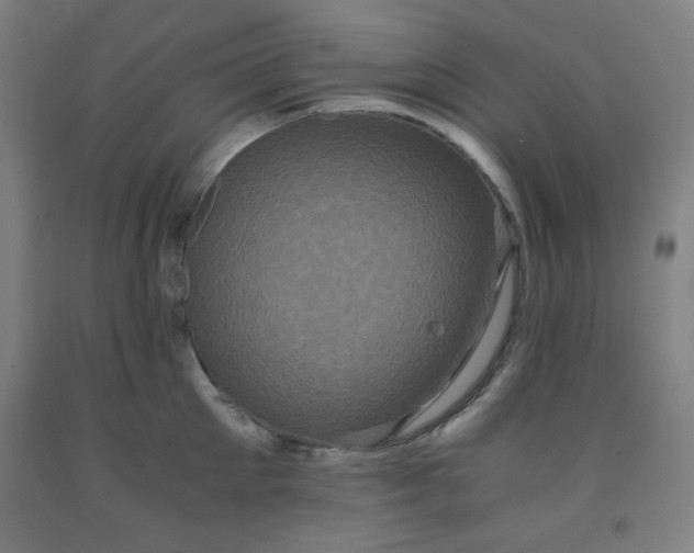 X0000091880905200709261348