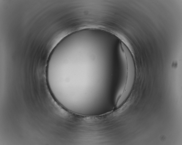 X0000091880906200709261348