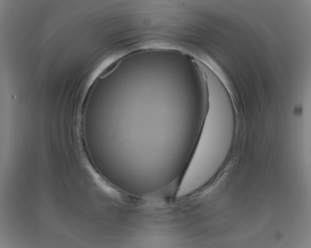 X0000091880909200709261348