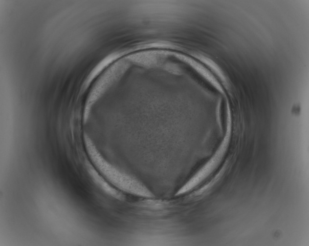 X0000091880910200709261348