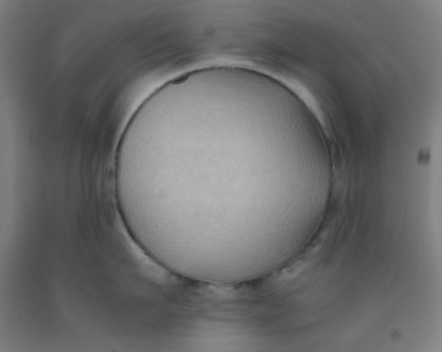 X0000091880911200709261348