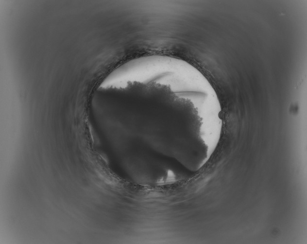 X0000091880913200709261348