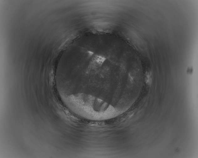 X0000091880915200709261348