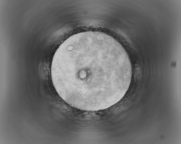 X0000091880918200709261348