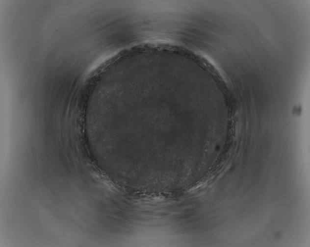 X0000091880919200709261348