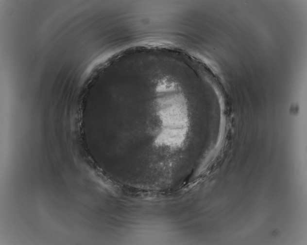 X0000091880920200709261348