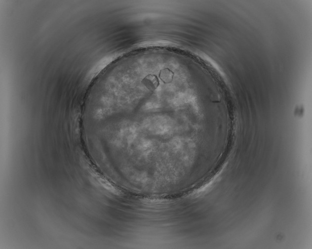 X0000091880921200709261348