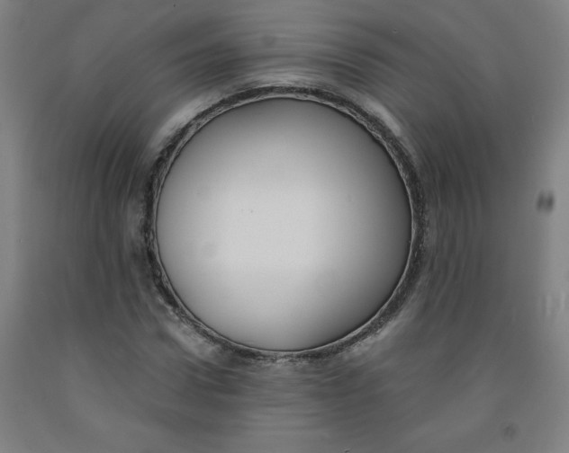 X0000091880922200709261348