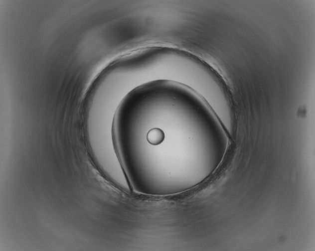 X0000091880926200709261348