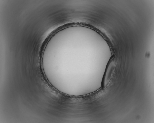 X0000091880927200709261348