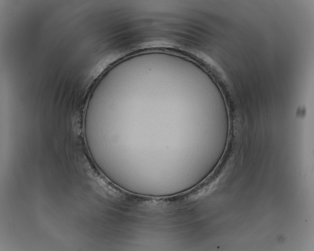 X0000091880929200709261348