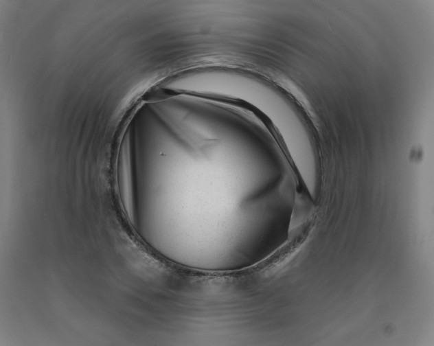 X0000091880930200709261348