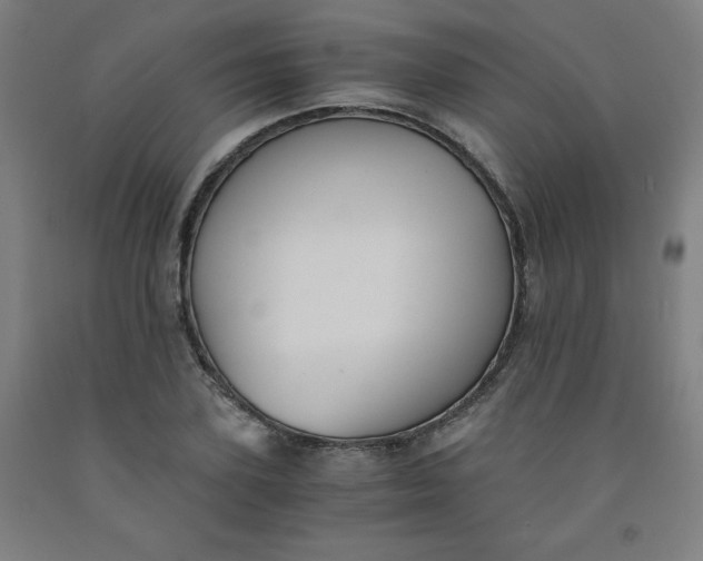 X0000091880931200709261348