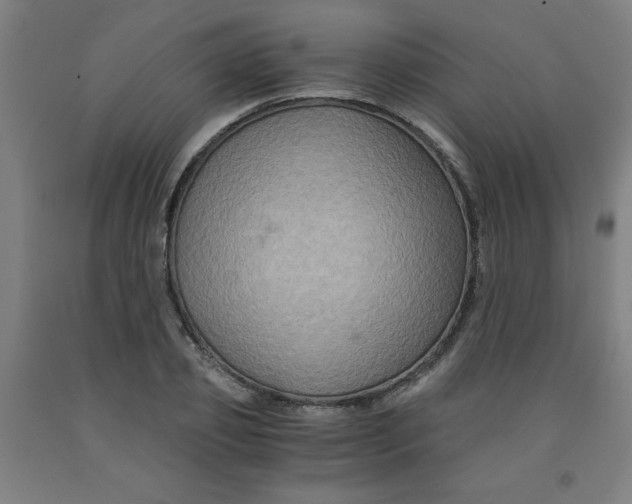 X0000091880933200709261348