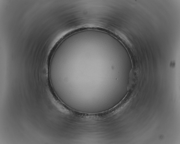 X0000091880934200709261348