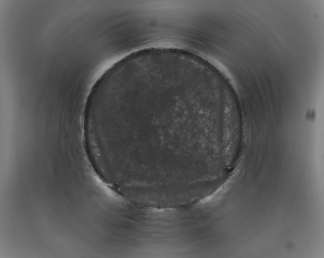 X0000091880935200709261348