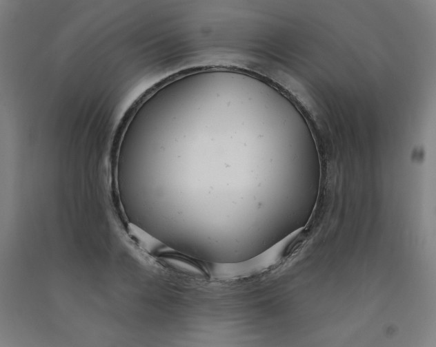 X0000091880936200709261348