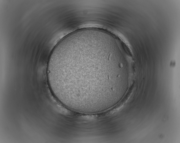 X0000091880937200709261348