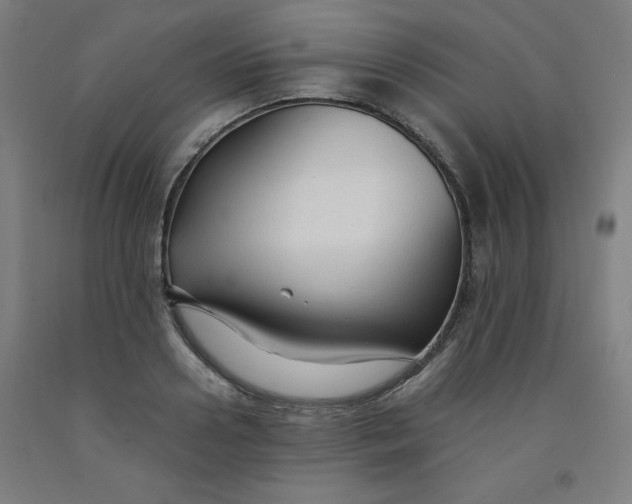 X0000091880938200709261348